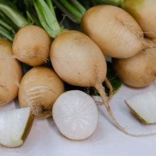 Zlata Radishes whole and sliced showing their yellow skin with white flesh on a white background.