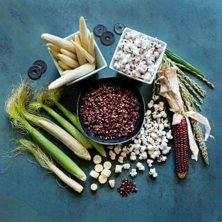 Popped, fresh and dried Chires Baby Corn surrounding a bowl of red kernels on a jade background.