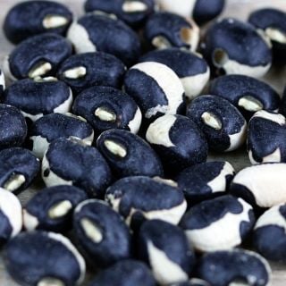 A close-up view of Holstein Cowpeas.