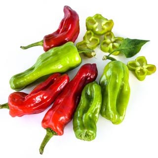 Cut and whole Aleppo Hot Peppers at various stages of maturity arranged on a white background.