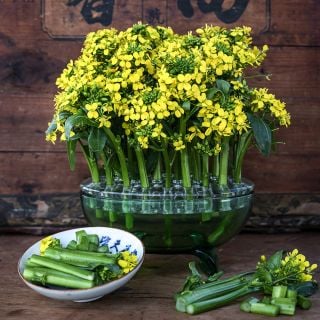 50-Day Choy Sum arranged in a vase with a bowl of chopped stems and leaves on a wooden background.