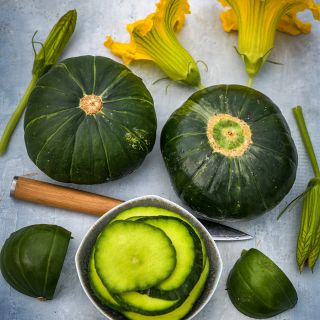 Sliced and whole Zapallito Del Tronco Summer Squash arranged with blooms on blue background.