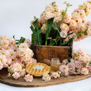 Chanter Cedo Apricot Stock in a wood box and on a wood cutting board with waffles and stock syrup.
