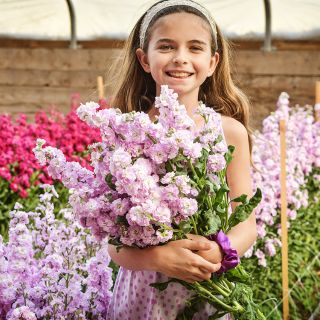 Chanter Alto Light Pink Stocks with Malia Gettle