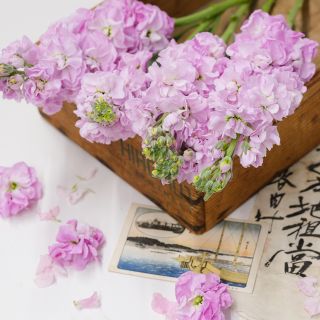 Haru No Kagayaki Stock blooms on wooden tray with Oriental post card.