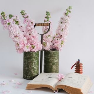 New Kabuki Light Pink Stocks in metal display cans and open Oriental book on white background.
