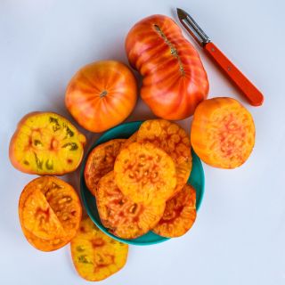 Huge Gold Medal tomatoes sliced and whole on a bright blue plate with a peeler.