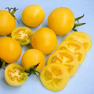 Sliced and whole Wapsipinicon Peach Tomatoes on a light bluebackground.