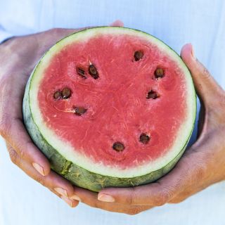 Hands holding a sliced Katanya Watermelon.