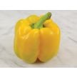 Sweet Pepper Seeds, Canary Bell 