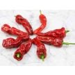 Sweet Pepper Seeds, Melrose