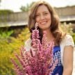 Agastache Seeds, Arcado Pink 