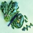 Arugula Seeds, Wasabi 