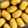 Bean Seeds, Adventist Pole