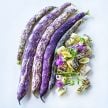 Bean Seeds, Dragon Tongue Bush 