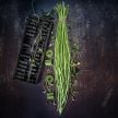 Long Bean Seeds, Taiwan Yard-Long 