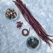 Long Bean Seeds, Chinese Red Noodle 