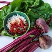 Beet Seeds, Crosby's Egyptian 
