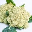 Cauliflower Seeds, De Jesi 