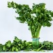 Celery Seeds, D'Elne 