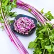 Celery Seeds, Chinese Pink 
