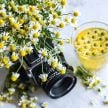 Chamomile Seeds, German 
