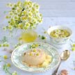 Chamomile Seeds, Zloty Lan 