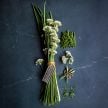 Chive Seeds, Chinese 