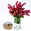 Clover Seeds, Crimson 