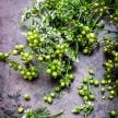 Coriander Seeds, Indian 