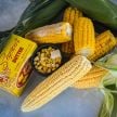 Corn Seeds, Damaun KS Super Sweet 