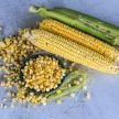 Corn Seeds, True Gold 