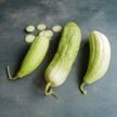 Cucumber Seeds, Xylangouro Melon