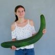 Cucumber Seeds, Metki Dark Green Serpent
