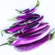 Eggplant Seeds, Malaysian Dark Red 