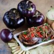 Eggplant Seeds, Qi Ye Round 