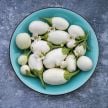Eggplant Seeds, Japanese White Egg