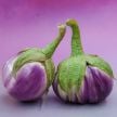 Eggplant Seeds, Rosa Bianca 