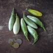 Eggplant Seeds, Thai Green Frog Fingers
