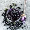 Huckleberry Seeds, Chichiquelite 