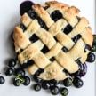 Huckleberry Seeds, Garden