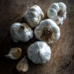 Garlic Bulbs, Early Italian Purple (16 bulbs) 