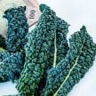 Kale Seeds, Nero Di Toscana 