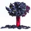 Kale Seeds, Scarlet