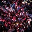 Lettuce Seeds, Lunix