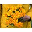 Marigold Seeds, Bambino 