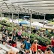 Baker Creek Spring Planting Festival May 2025 (per vehicle)