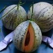 Melon Seeds, Crane 