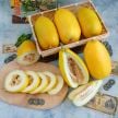 Melon Seeds, Golden Crispy