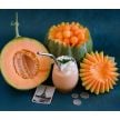 Melon Seeds, Petit Gris de Rennes